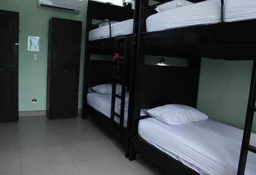 تختخواب در اتاق مشترک, Room2board Hostel And Surf School