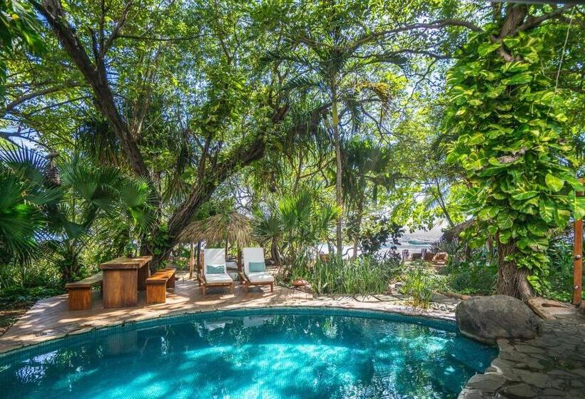 １ベッドルームのスーペリアアパートメント, Sueno Del Mar Beachfront