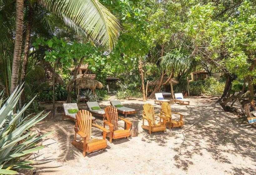 １ベッドルームアパートメント, Sueno Del Mar Beachfront