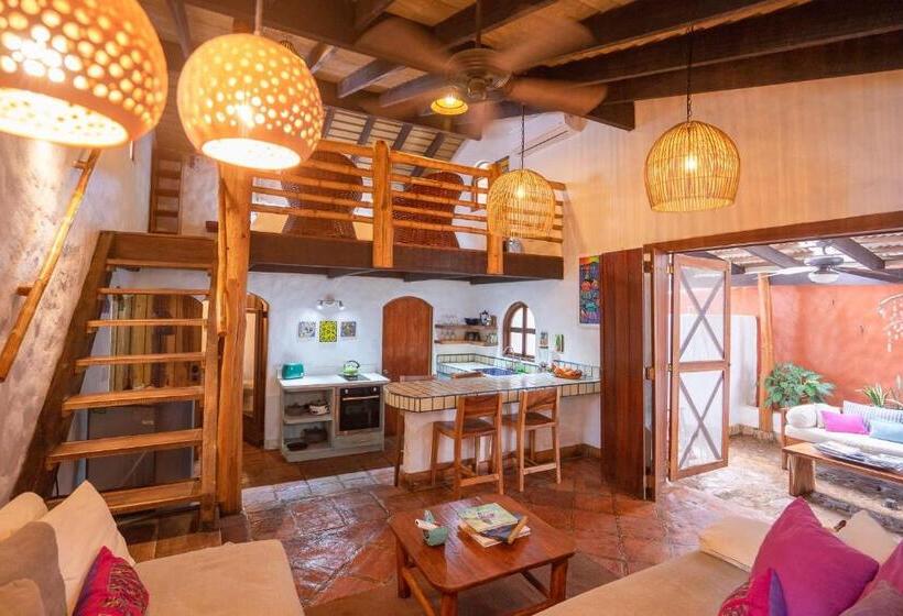 １ベッドルームのスーペリアアパートメント, Sueno Del Mar Beachfront
