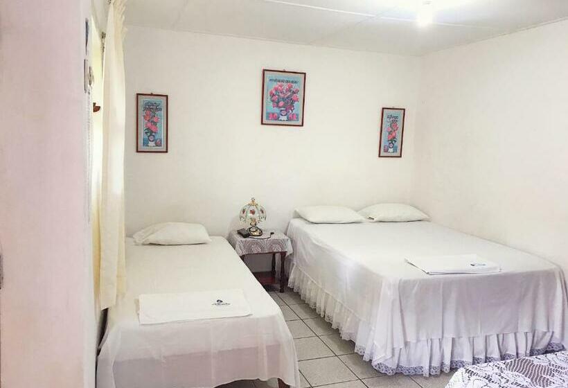 Quarto Estandar, El Mirador