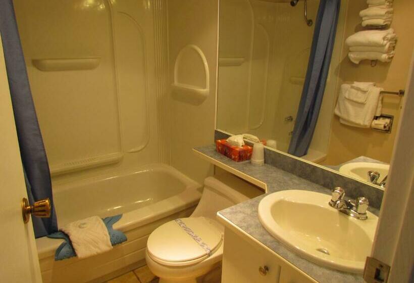 Номер Стандарт 2 Двуспальные Кровати, Rosedale Motel