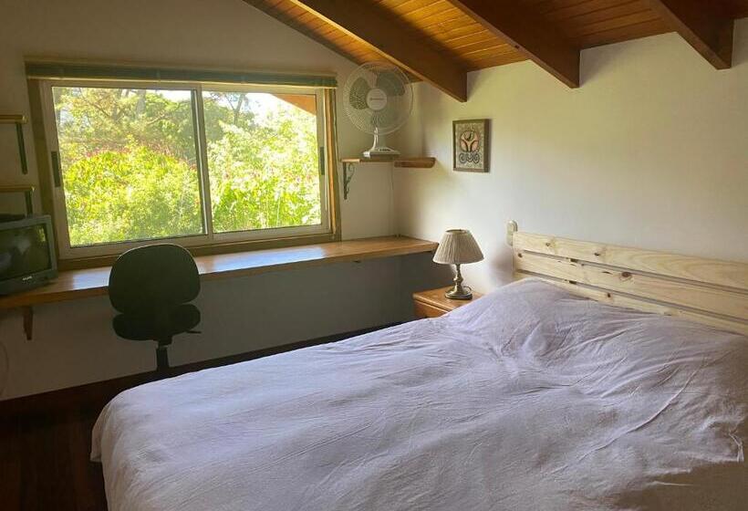 标准房带园景, Tierra Magica B&b And Art Studio