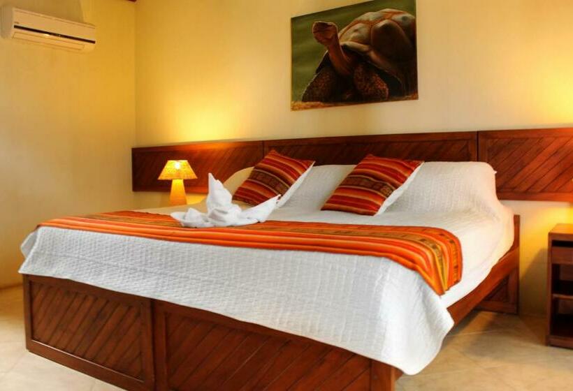 اتاق استاندارد, Arena Blanca Eco