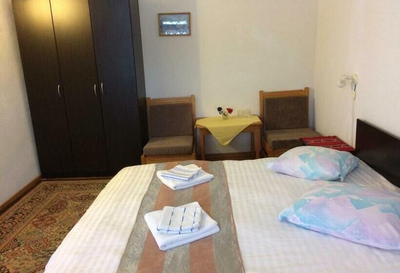 شقة غرفة واحدة, Pension Casa Alba