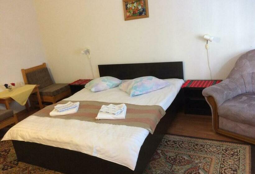 آپارتمان 1 خوابه, Pension Casa Alba
