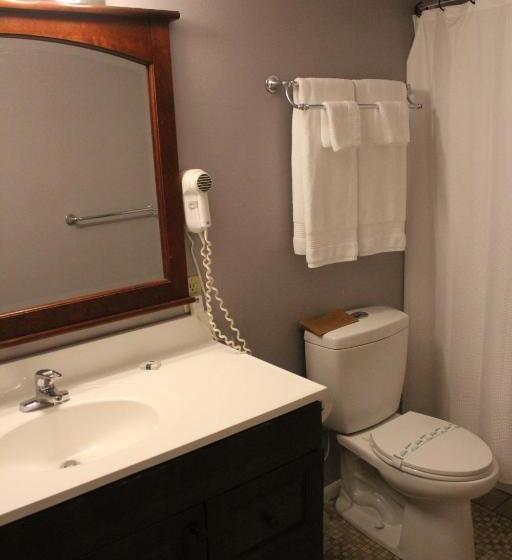חדר סטנדרט יחיד, Brydan Suites