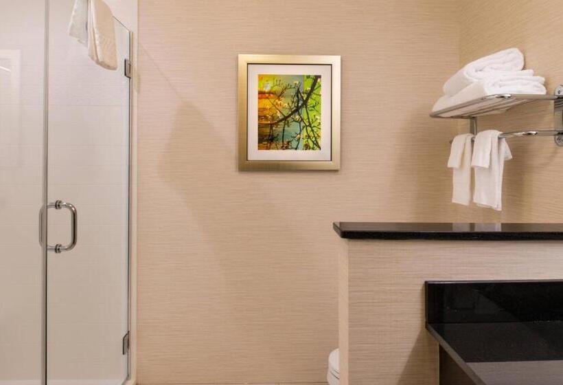 Люкс Кровать Кинг, Fairfield Inn & Suites By Marriott Utica