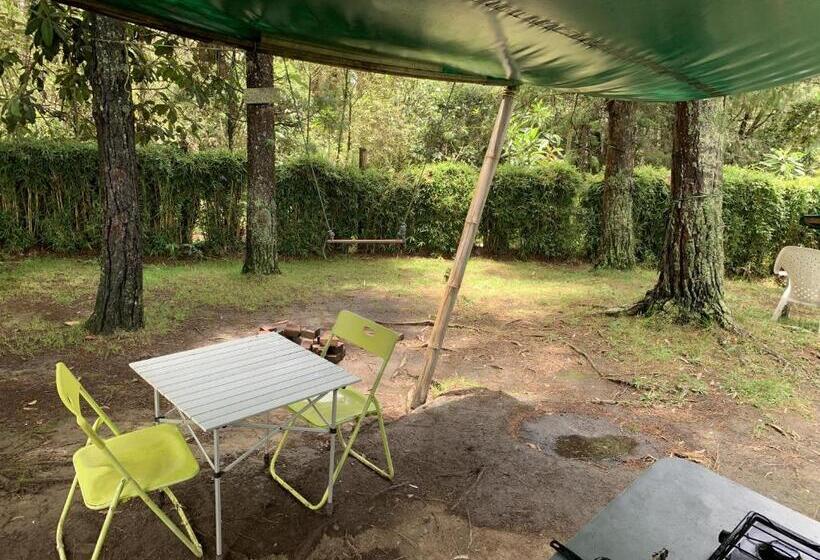 스탠다드 룸, Al Bosque Hostel & Glamping