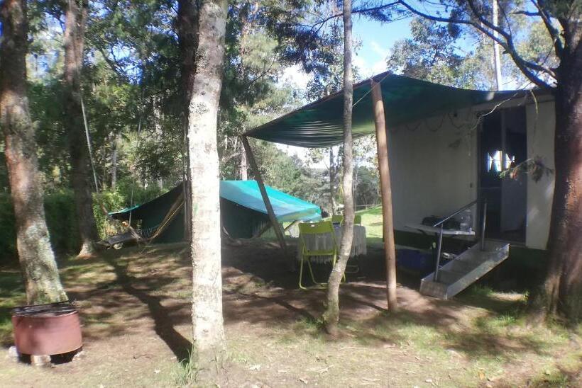 اتاق استاندارد, Al Bosque Hostel & Glamping