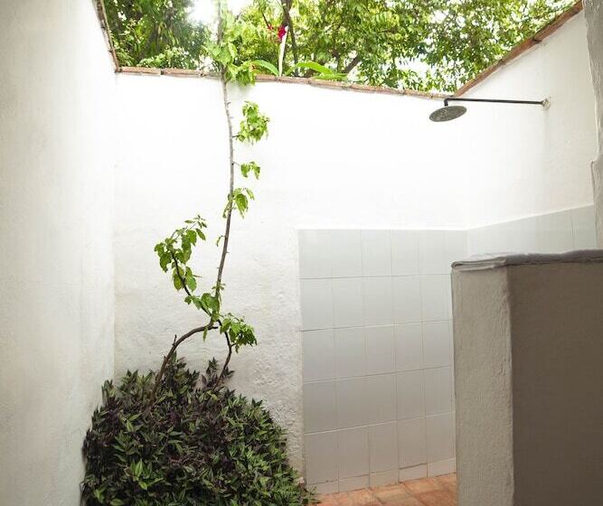 اتاق سوپریور, Achiotte Masaya Collection