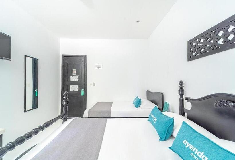 Quarto Triplo Estandar, Mar Di Plata