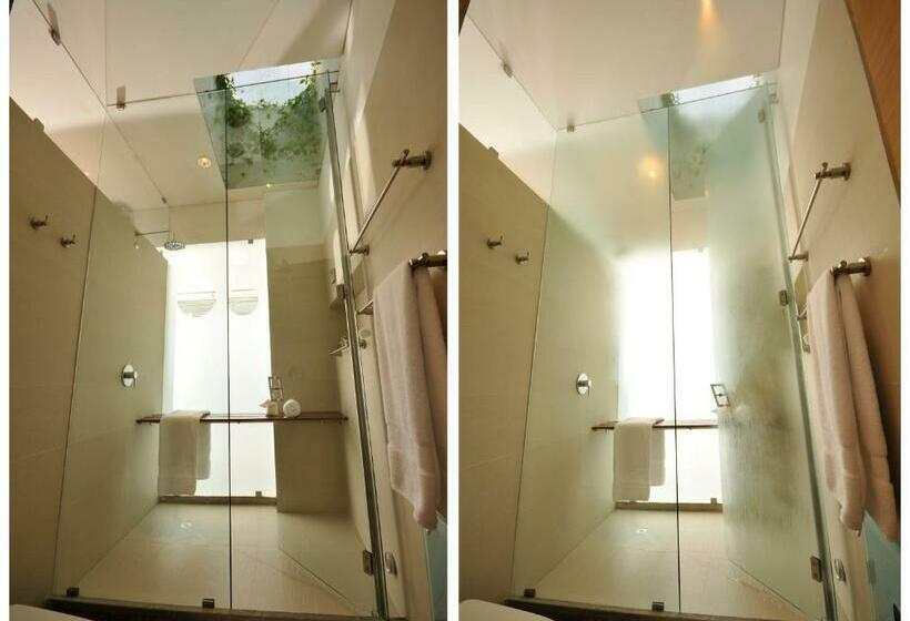 스위트, Acquasanta Lofts