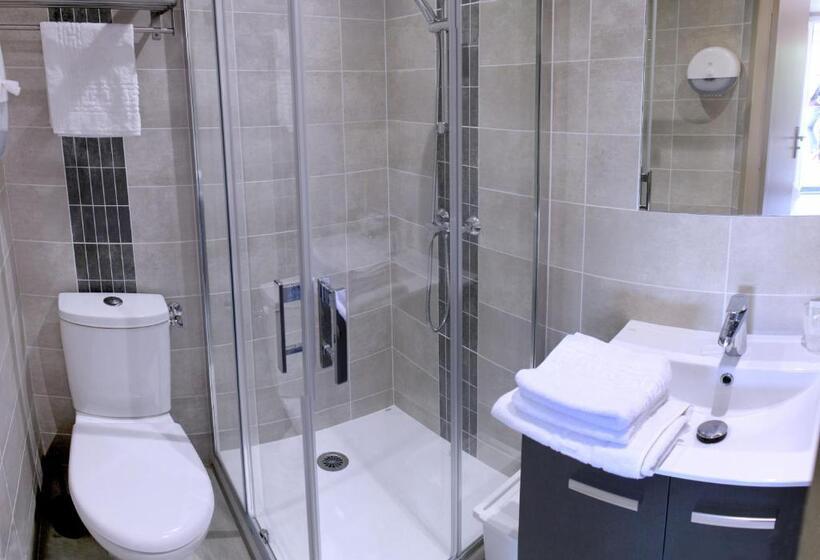 Cameră clasică cu terasă, Hôtel Le Printemps