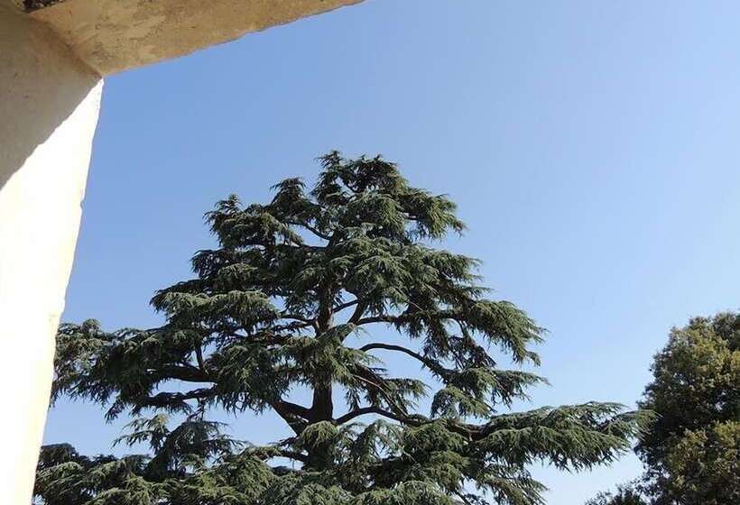 اتاق رمانتیک, Le Domaine De Mestré, The Originals Relais