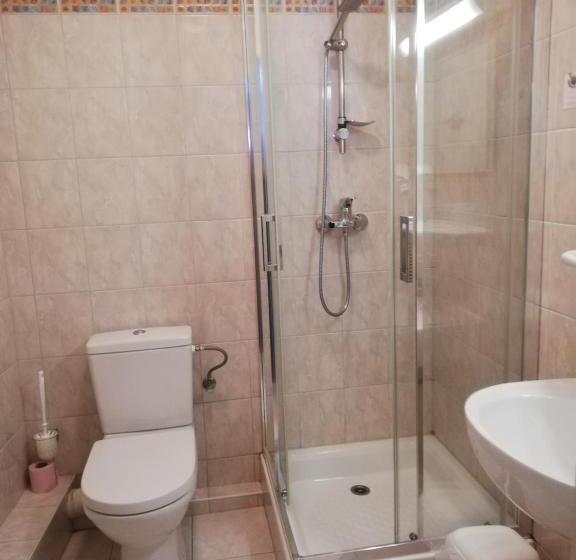 スタンダードシングルルーム, Restaurant Le Moschenross