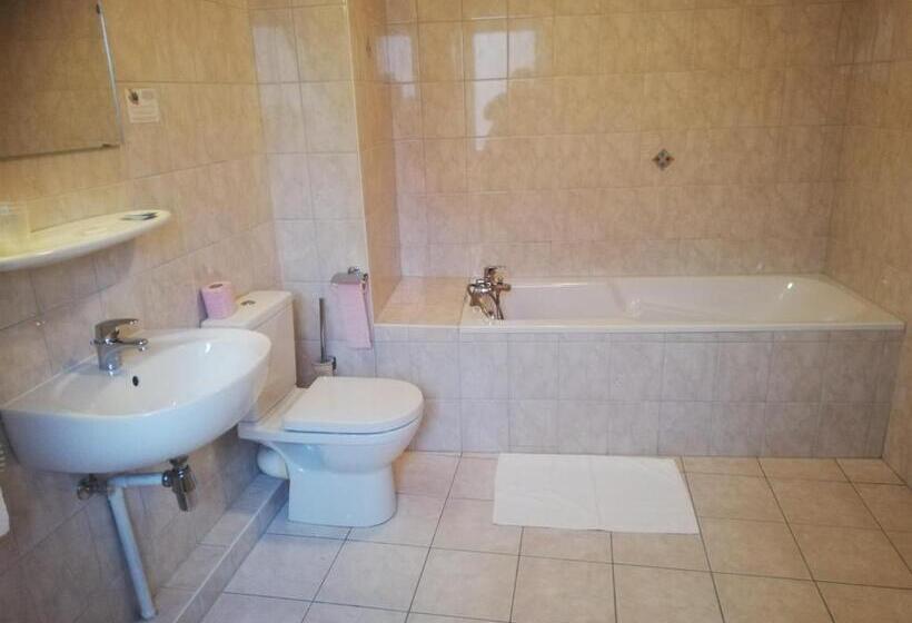 スタンダードシングルルーム, Restaurant Le Moschenross