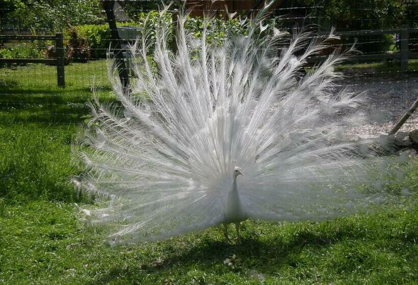 חדר סטנדרט עם סלון, Chambre D'hôtes Au Fil De L'eau