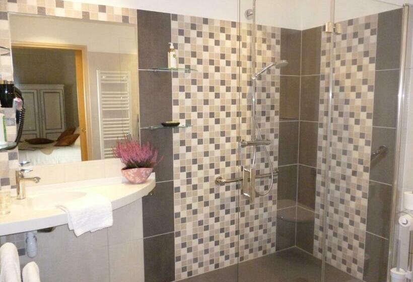 اتاق استاندارد برای معلولان, Hôtel Picardia