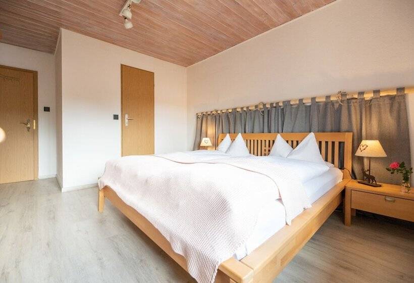 Номер Deluxe, Gästehaus Richter