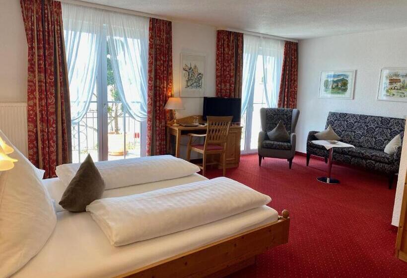 스탠다드 룸 호수 전망, Seehotel Schäpfle