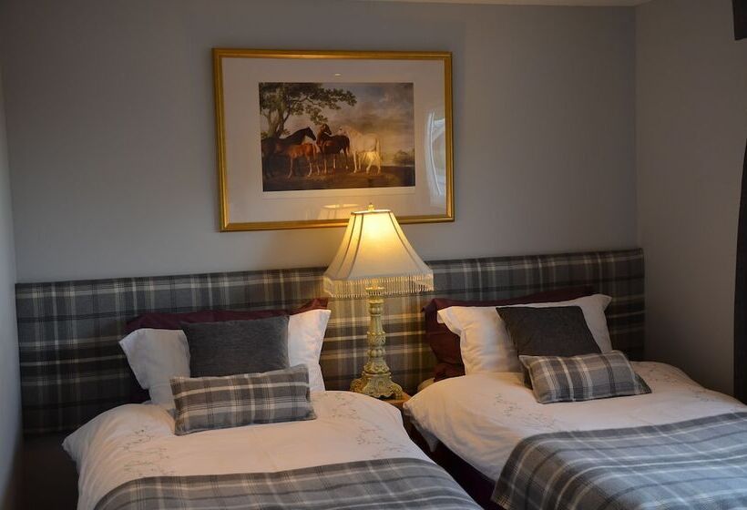 Номер Стандарт, Scottish Equi B&b