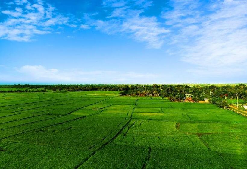 Номер Deluxe с Балконом, Avonil Resort Yala