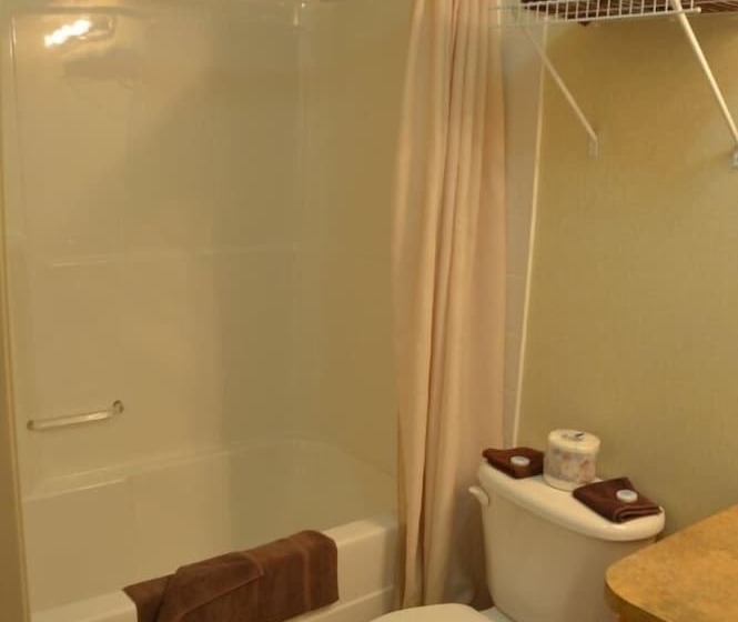 غرفه قياسيه سريرين مزدوجين, Avalon Inn
