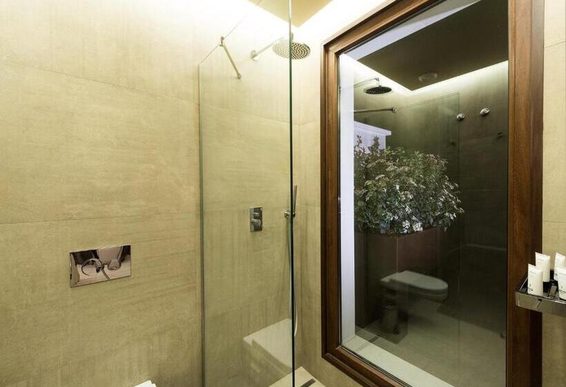 Номер Стандарт с Террасой, Spa Elia