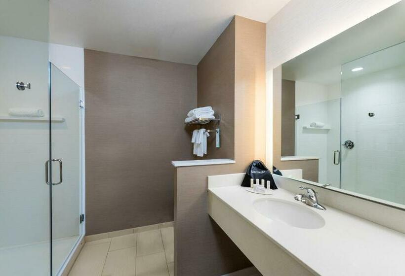 Люкс Кровать Кинг, Fairfield By Marriott Inn & Suites Palm Desert Coachella Valley