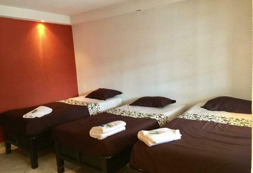 ルームシェアのワンベッド, & Suites Cerro Roj0