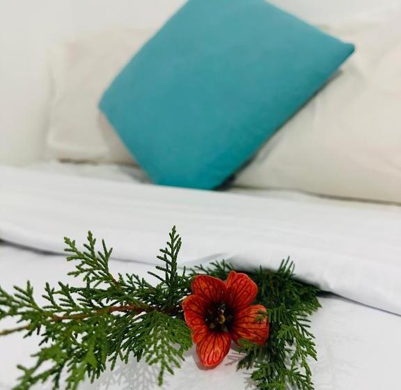 Quarto Familiar, Wild Trekkers