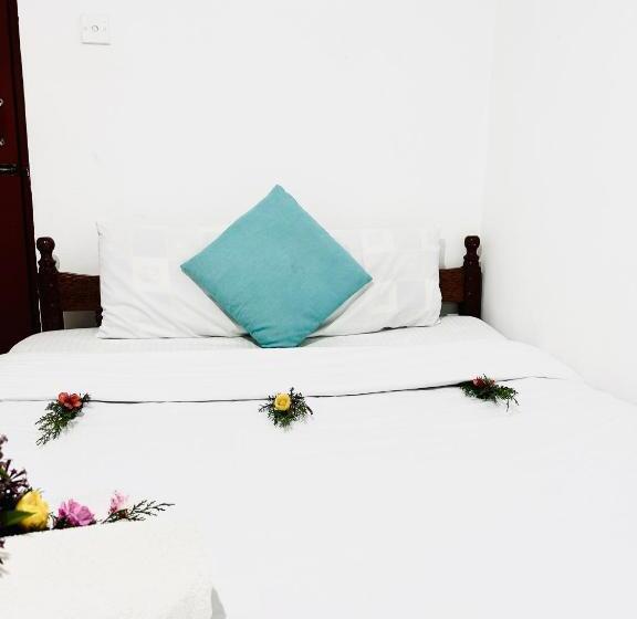 Quarto Estandar, Wild Trekkers