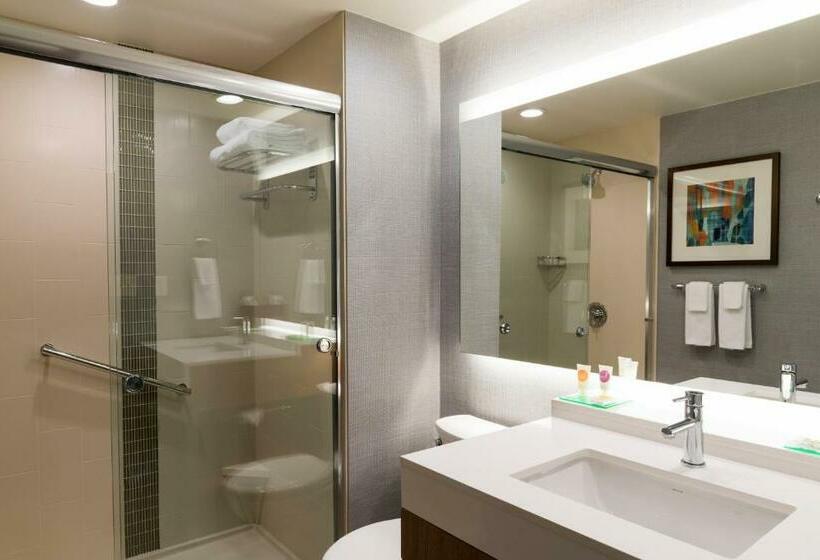 스탠다드 룸 킹사이즈 침대, Hyatt Place Sarasota/lakewood Ranch