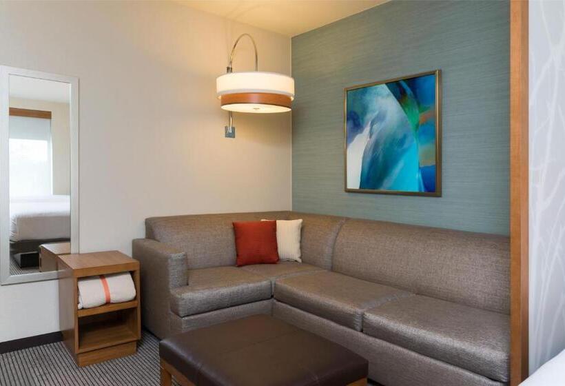 غرفة قياسية لذوى الاحتياجات الخاصة, Hyatt Place Sarasota/lakewood Ranch