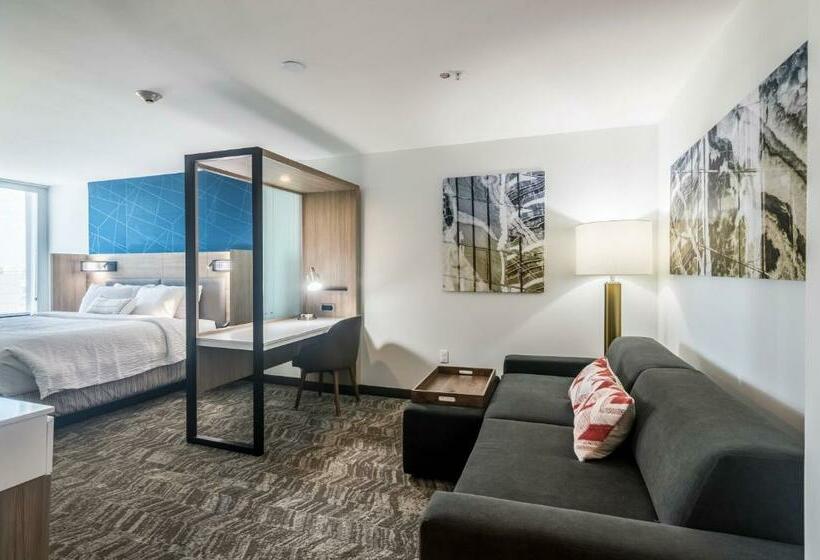 Люкс Кровать Кинг, Springhill Suites By Marriott Oklahoma City Downtown