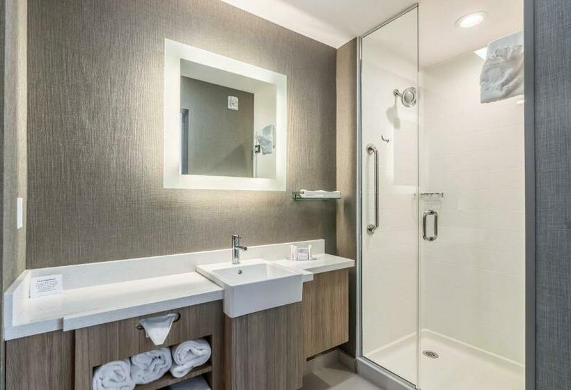 جناح سرير كينج, Springhill Suites By Marriott Oklahoma City Downtown