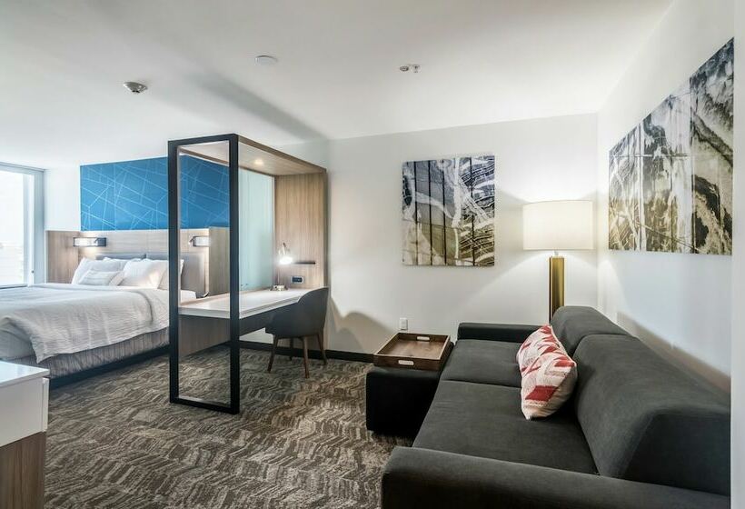 جناح, Springhill Suites By Marriott Oklahoma City Downtown