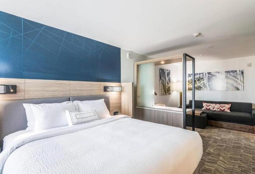 Люкс Кровать Кинг, Springhill Suites By Marriott Oklahoma City Downtown