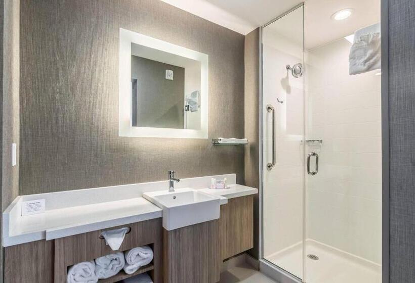 Люкс, Springhill Suites By Marriott Oklahoma City Downtown