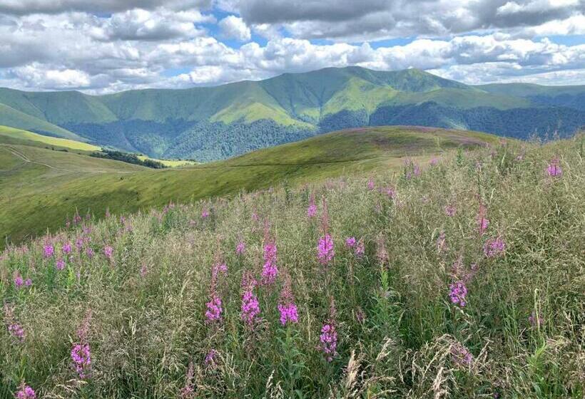 Шале 1 Спальня, Sadyba U Vani