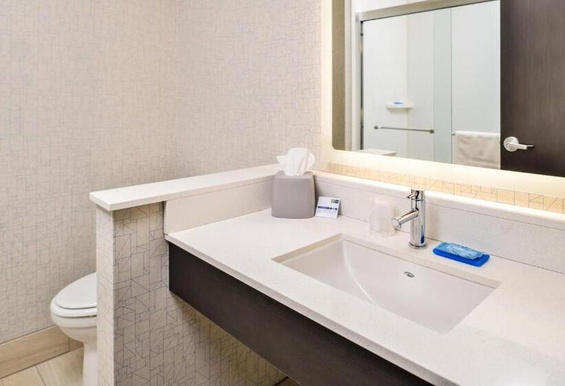 장애인을 위한 스탠다드 룸, Holiday Inn Express & Suites   Kansas City   Lee S Summit, An Ihg
