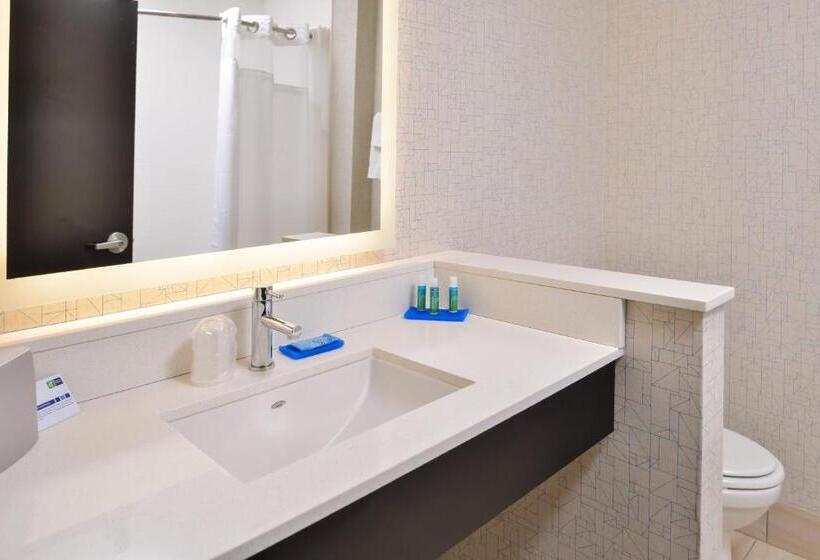 장애인을 위한 스탠다드 룸, Holiday Inn Express & Suites   Kansas City   Lee S Summit, An Ihg
