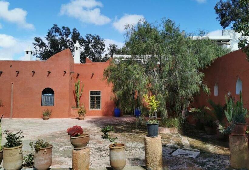 Номер Стандарт, Riad Eucalyptus