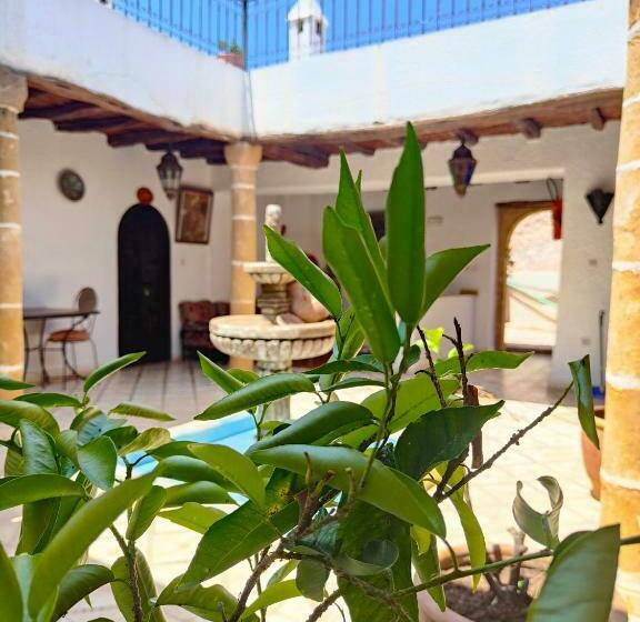 Номер Стандарт, Riad Eucalyptus