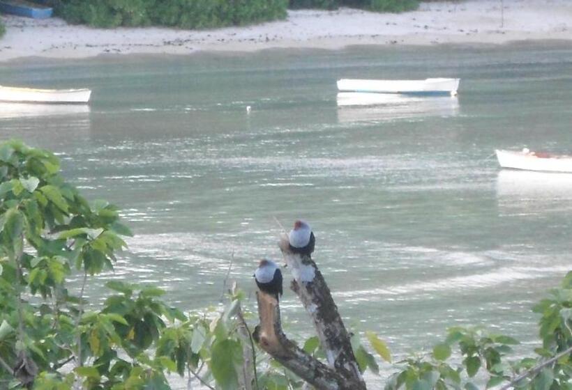 اتاق اجرایی با چشم‌انداز دریا, Seychelles