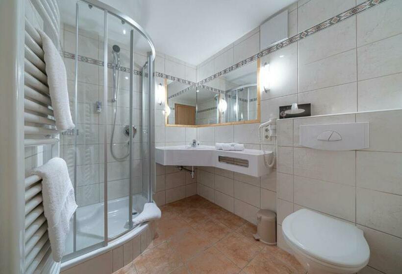 غرفة قياسية مزوَّدة بشُرفة, Burghotel Alpenglühn