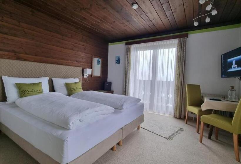 Номер Basic, Pension Schöne Aussicht