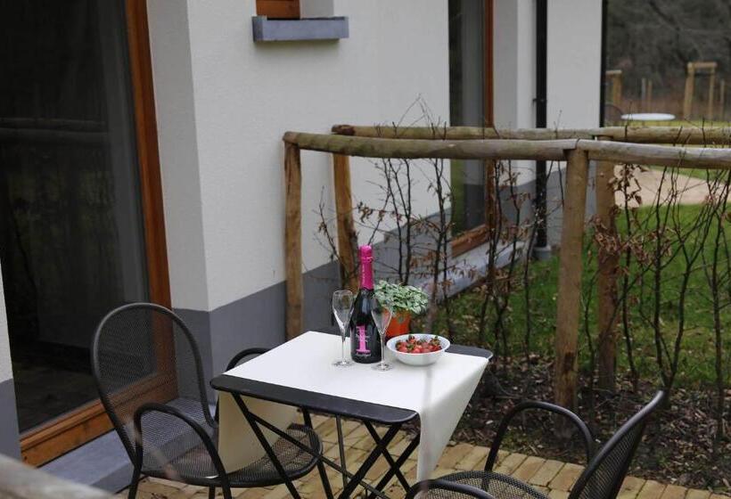 Полулюкс Одноместный с Террасой, B&b Hippo Droom