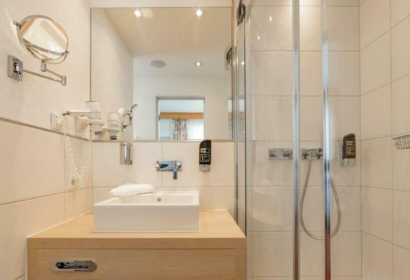 Номер Стандарт Индивидуальный, Alp Larain B&b